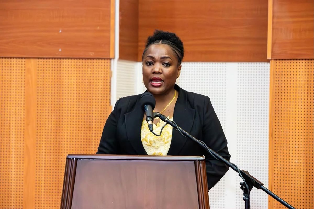 Tanzania Sets 8,000MW Power Capacity Target by 2030