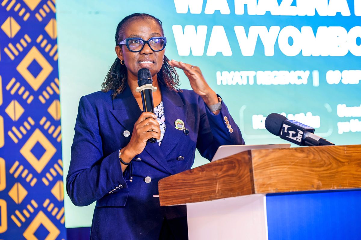 Government lines up state firms for DSE listing as TCB process advances