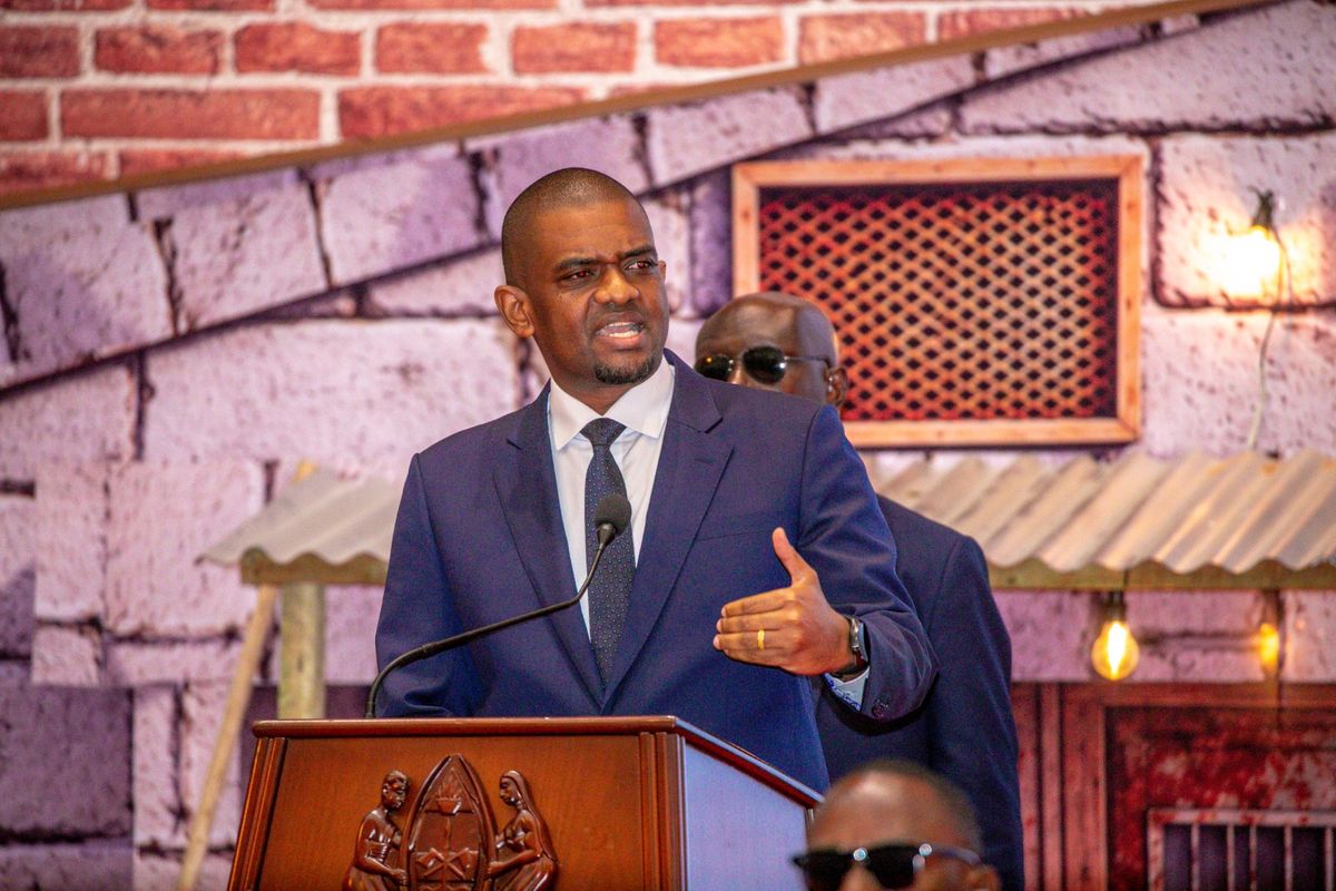 Tanesco–CRDB scheme to cover power connection fees for thousands — Photo: The Citizen Tanzania (direct)
