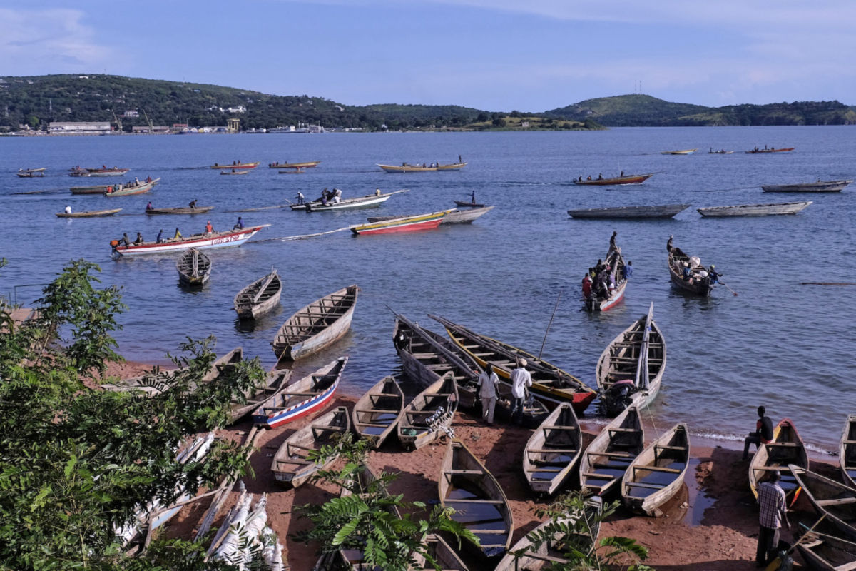 Government moves to tackle sharp decline in Lake Tanganyika fish stocks