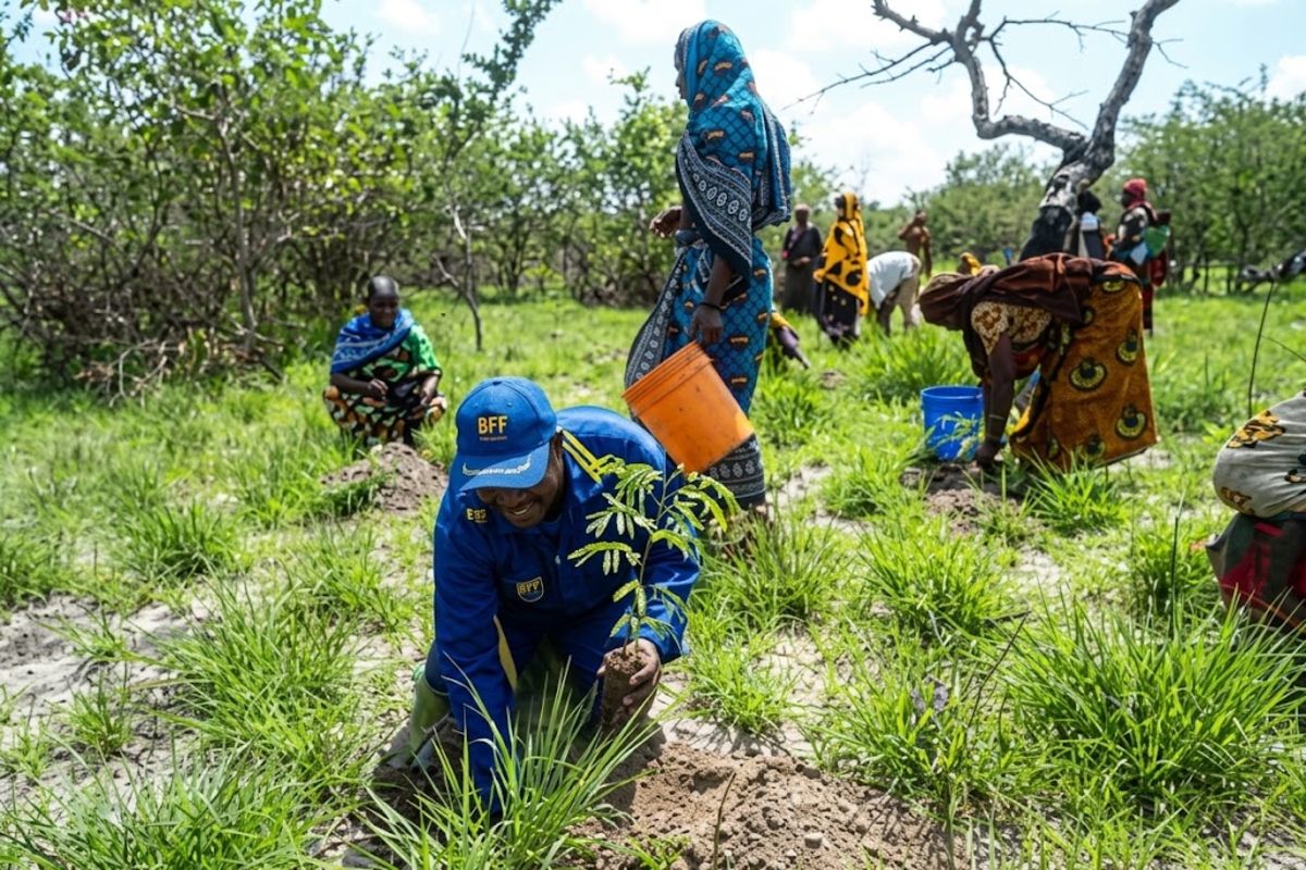 Tanzania targets $41 million for environmental protection | The Citizen